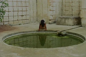 Leonardo DiCaprio’s ‘We Are Guardians’ Doc Raises $1M to Save Rainforest Before Theatrical Release