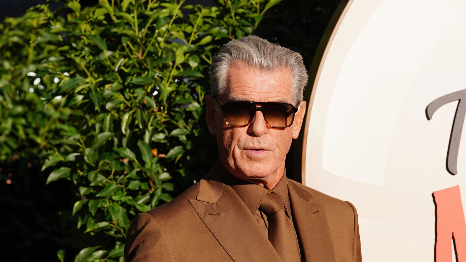 Pierce Brosnan