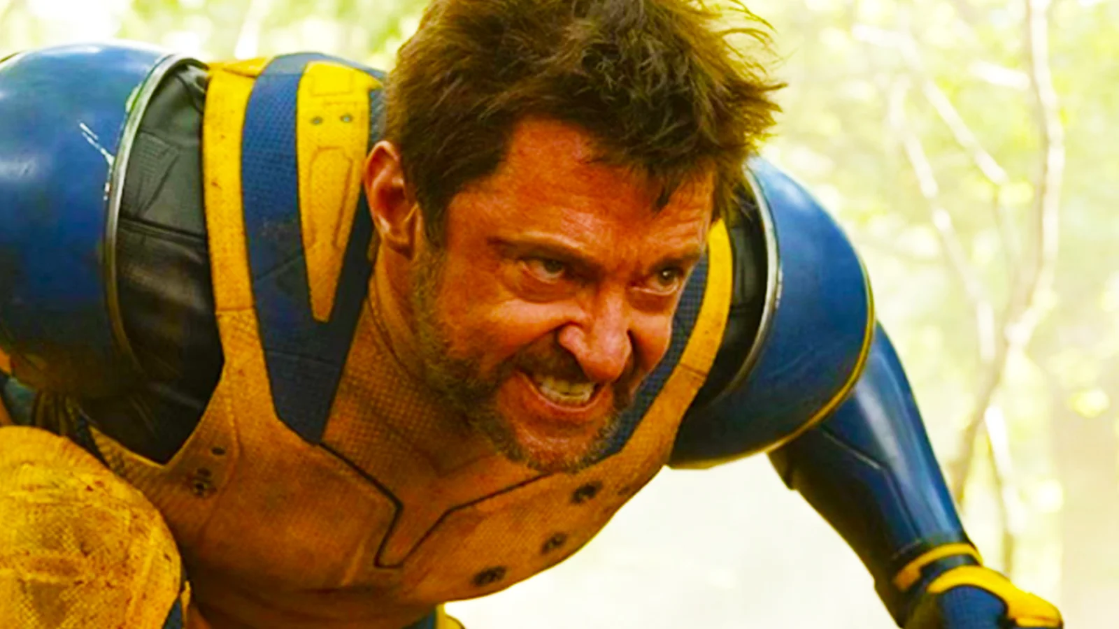 Hugh Jackman