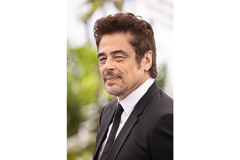 Image of Benicio Del Toro