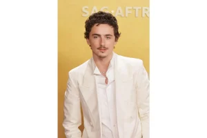 How Christopher Nolan’s Dark Knight Changed Timothée Chalamet